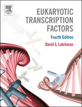 Eukaryotic Transcription Factors