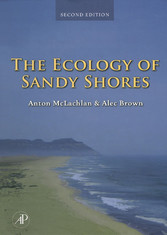 The Ecology of Sandy Shores