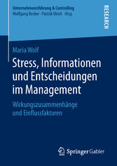 Stress, Informationen und Entscheidungen im Management