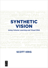 Synthetic Vision