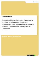 Examining Human Resource Department as a Tool in Influencing Employee Performance and Organisational Change in Small and Medium Size Enterprises in Cameroon