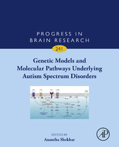 Genetic Models and Molecular Pathways Underlying Autism Spectrum Disorders