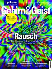 Gehirn&Geist 1/2019 Rausch