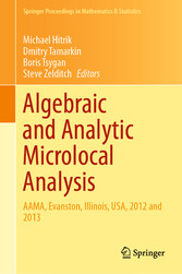 Algebraic and Analytic Microlocal Analysis