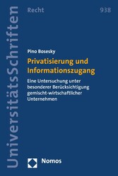 Privatisierung und Informationszugang