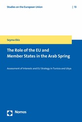 The Role of the EU and Member States in the Arab Spring