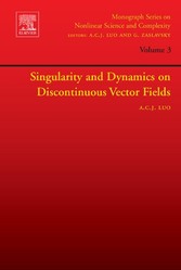 Singularity and Dynamics on Discontinuous Vector Fields