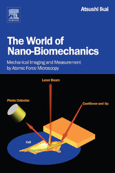 The World of Nano-Biomechanics