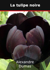 La tulipe noire