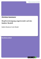 Hopfverzweigung angewendet auf das Kaldor Modell