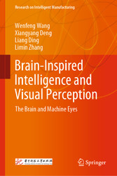 Brain-Inspired Intelligence and Visual Perception