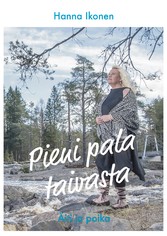 Pieni pala taivasta