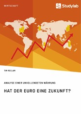 Hat der Euro eine Zukunft? Analyse einer unvollendeten Währung