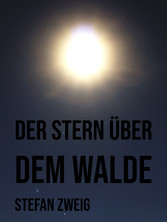 Der Stern über dem Walde