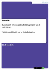 Räumlich-orientierte Zellmigration und -adhärenz