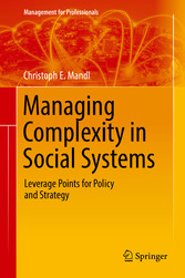 Managing Complexity in Social Systems