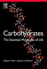 Carbohydrates: The Essential Molecules of Life