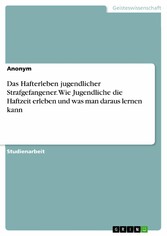 Das Hafterleben jugendlicher Strafgefangener. Wie Jugendliche die Haftzeit erleben und was man daraus lernen kann