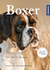 Boxer