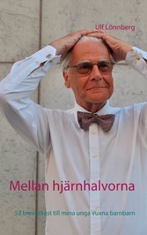 Mellan hjärnhalvorna