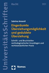 Eingeräumte Überziehungsmöglichkeit und geduldete Überziehung