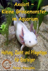 Axolotl - Kleine Grinsemonster im Aquarium