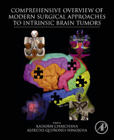 Comprehensive Overview of Modern Surgical Approaches to Intrinsic Brain Tumors