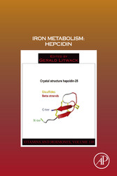 Iron Metabolism: Hepcidin