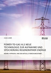 Power-to-Gas als neue Technologie zur Aufnahme und Speicherung regenerativer Energie. Bedarf, Potenzial und der aktuelle Forschungsstand