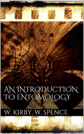 An Introduction to Entomology