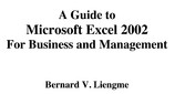 Guide to Microsoft Excel 2002 for Business and Management