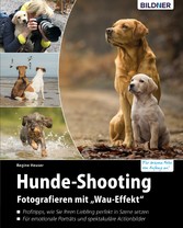 Hunde-Shooting - Fotografieren mit 'Wau-Effekt'