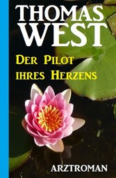 Der Pilot Ihres Herzens