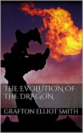 The Evolution of the Dragon