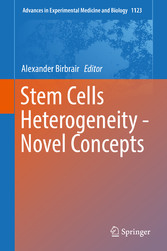 Stem Cells Heterogeneity - Novel Concepts