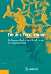 Double Fertilization