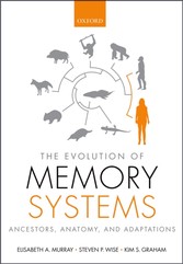 Evolution of Memory Systems