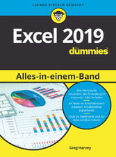 Excel 2019 Alles-in-einem-Band für Dummies,