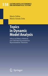 Topics in Dynamic Model Analysis