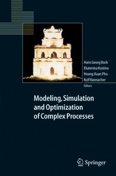 Modeling, Simulation and Optimization of Complex Processes