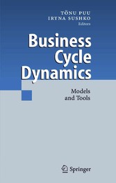 Business Cycle Dynamics