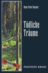 Tödliche Träume: Hunsrück-Krimi-Reihe Band VII