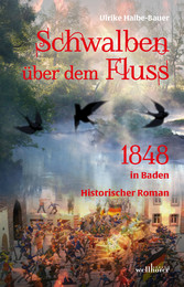 Schwalben über dem Fluss: Historischer Roman