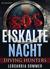 Eiskalte Nacht. Erotik - Thriller