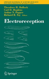 Electroreception