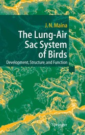 The Lung-Air Sac System of Birds