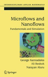 Microflows and Nanoflows