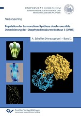 Regulation der Jasmons&#xE4;ure-Synthese durch reversible Dimerisierung der Oxophytodiens&#xE4;urereduktase 3 (OPR3)