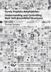 Purely Peptidic Amphiphiles: Understanding and Controlling their Self-Assembled Structures