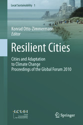 Resilient Cities